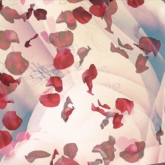 Rose Petals : Prayers