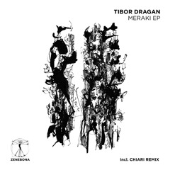 Premiere: Tibor Dragan - Samadhi [Zenebona Records]
