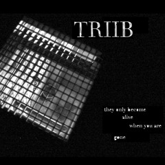 TRIIB (and SONUUS ARKESTRA) - they only become alive when you are gone