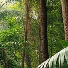 Battle Chant Groove (2025 Mix)