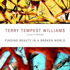 ❤PDF⚡ Finding Beauty in a Broken World