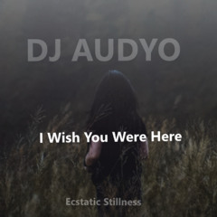 I Wish You Were Here #Ecstatic Stillness