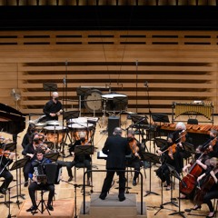 Sofia Gubaidulina: Fachwerk (2009) excerpt