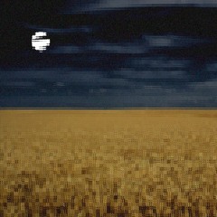 moon in the sky / misyats na nebi (by Jori Josiphson and Milos Krmicek)