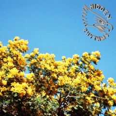 Hidden Rhythms Show
