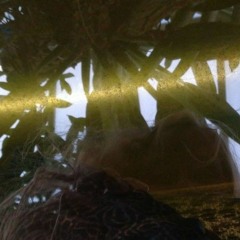 Electro House from the jungle