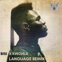 Bisi X Kwohla - Language Remix