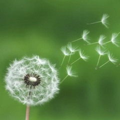 살어리랏다(prod.Hoodie Boy)