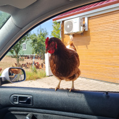 You Breaking my Heart  Deep House Dance 2025