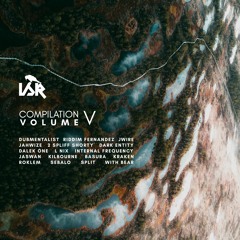 Roklem & Sebalo - Observe (Clip) - Iron Shirt Recordings Compilation Volume V (OUT 22.01.2022)