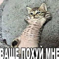 все хотят меня поцеловать (cover)