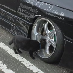 cats in the cold -  mage tears Hoodtrap Mixx