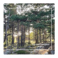 Another Dimension Mix - ROBVAN