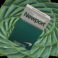 aloe