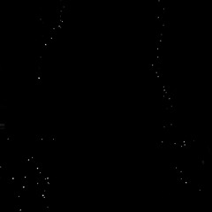 sprache_des_verfalls