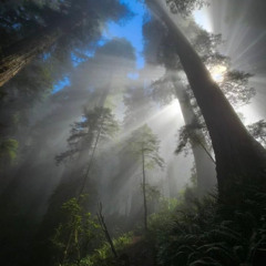 LSO - JAK NAJSZYBCIEJ PROD.CMAZ (2009)