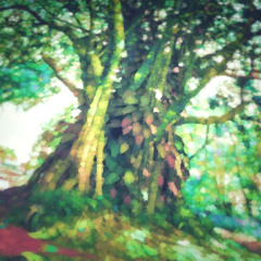 The World Tree [OSC193]