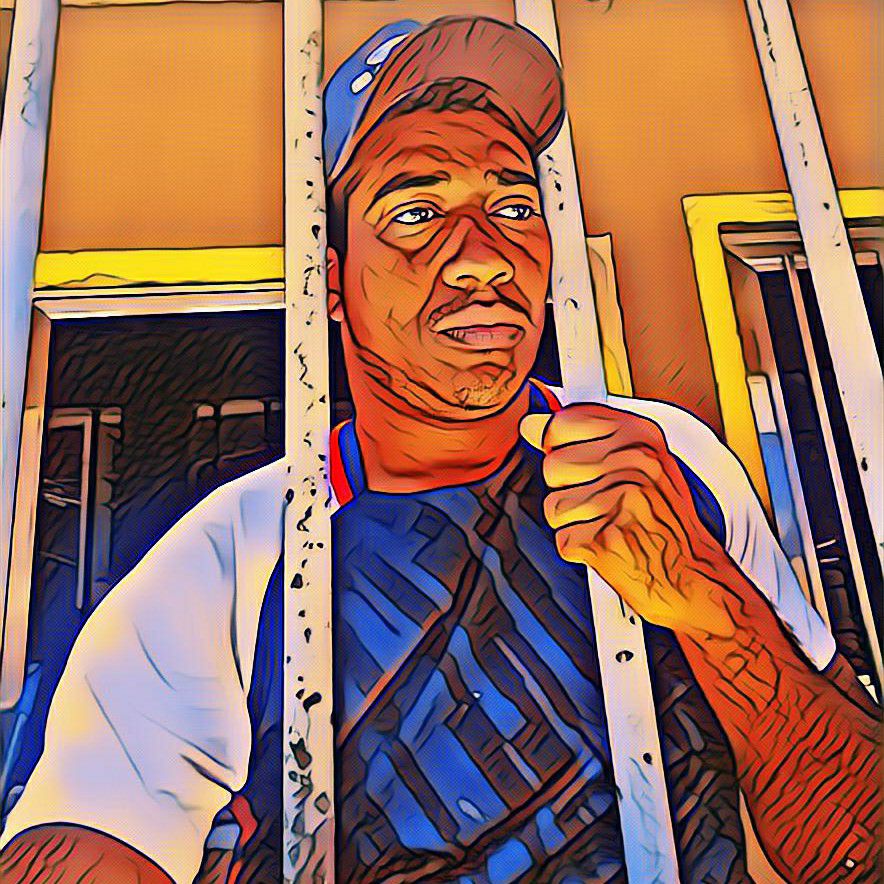 O CRAVO E A FLOR (JEFF LESSA)