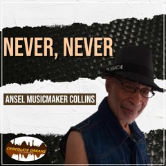 ANSEL MUSICMAKER COLLINS - NEVER, NEVER (SNIPPET)