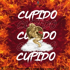 Cupido(c/Menny Wema x Baro's Rich x Márcia
