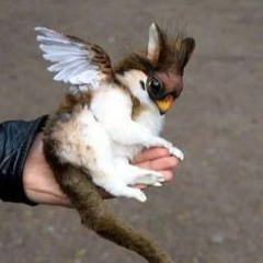 Cyber Trap (feat 19k)