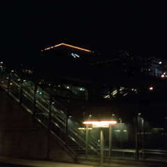 Non so stare al mondo