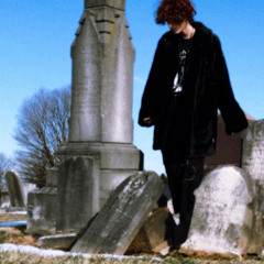 Domestic Terrorists (prod. die like movie stars)