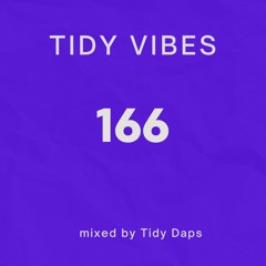 Tidy Vibes 166