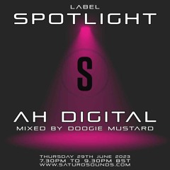 LABEL SPOTLIGHT AH Digital - Mixed by Doogie Mustard