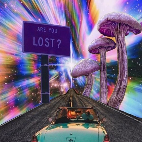 Fuck Around