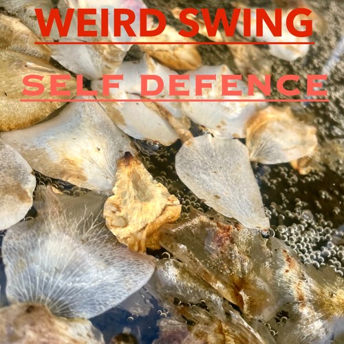 WEIRD SWING:SELF DEFENSE