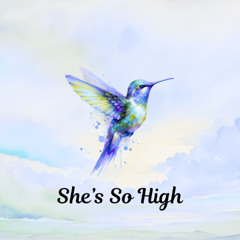 Tal Bachman - She's So High (Deerock Remix)