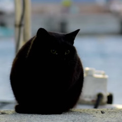 MABEL YOU A CLOWN WHY U ONNAT