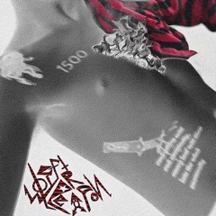 FIRE IN MY CHEST 𖤐PROD. L.O.W. (VISUALIZER IN DESCRIPTION)