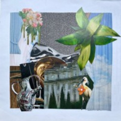 Concept mix XX (N.R.)