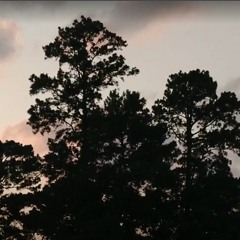 temperament [AIR ELEMENT DEMO]