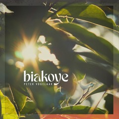 Peter Vogelaar - Biakoye