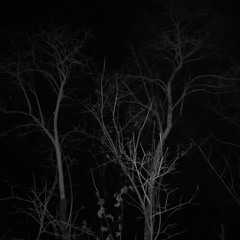 nightfall