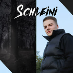 Tschüsssiiii - Schleini
