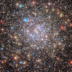 Auf Sendung mit der Maus