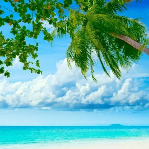 كفر background loop DOWNLOAD