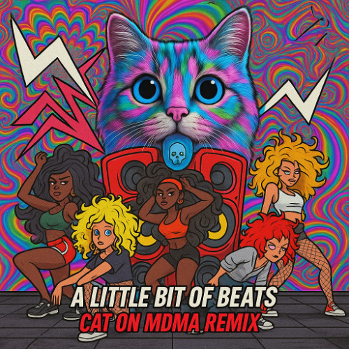 Partyraiser & S-Kill - A Little Bit Of Beats (Cat On MDMA Remix)