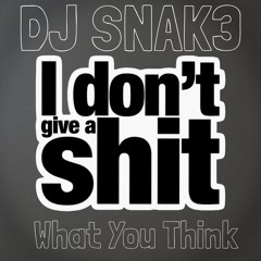 DJ SNAK3 - I DONT GIVE A SHIT WHAT YOU THINK 🖕.wav