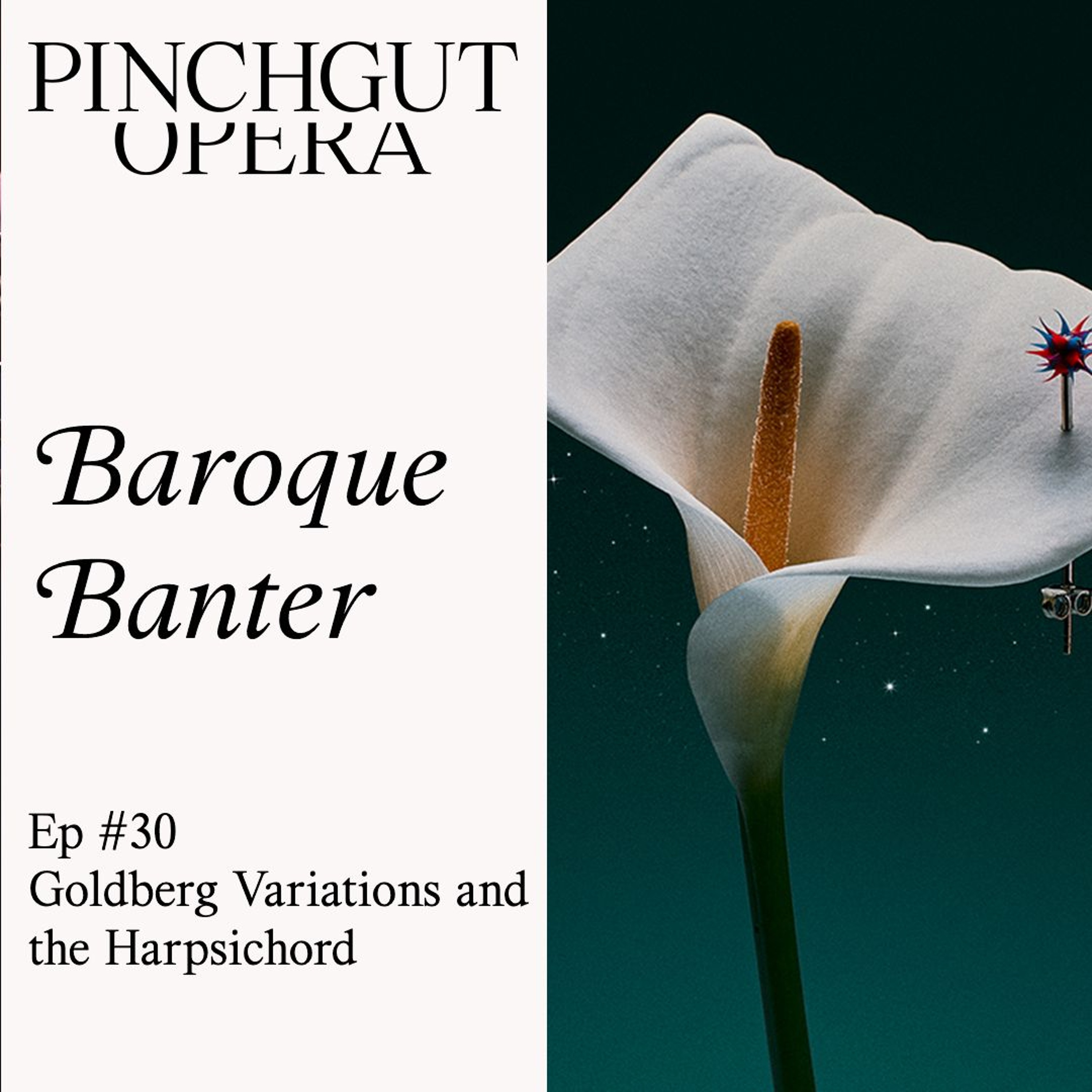 Baroque Banter: Episode 30 Goldberg Variations and the harpsichord