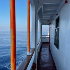 Field Notes 6