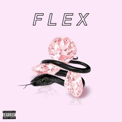 Flex (Prod. By Divide, CM & SephGotTheWaves)