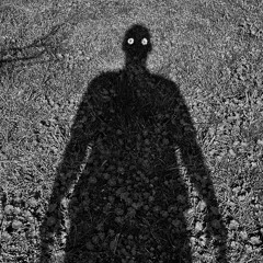 WHAT I DO IN THE SHADOWS  snipp