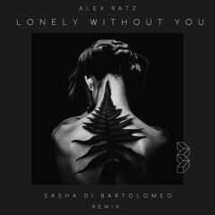 Lonely Without You ( Remix )