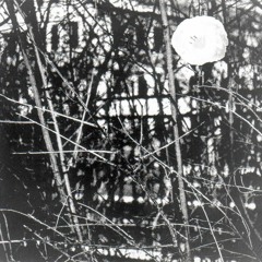 Changes - Antonio Williams and Kerry McCoy Cover