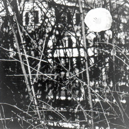 Changes - Antonio Williams and Kerry McCoy Cover